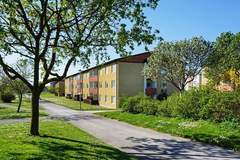 Ferienwohnung - Appartement in Visby (5 Personen)