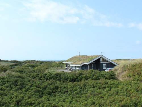 Ferienhaus Eunike - 300m from the sea in NW Jutland