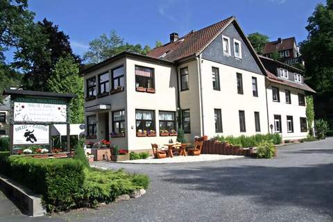 Ferienwohnung Stern - Harz Wildemann - Appartement in Wildemann (4 Personen)