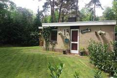Ferienhaus - Bunderbos - Ferienunterkunft in Ommen (4 Personen)