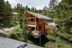 Ferienhaus - Alpenpark Turrach Chalets 3 - Chalet in Turracher HÃ¶he (8 Personen)