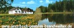 Pension, bed & breakfast - Gasthaus Pension Zum Brandweiher