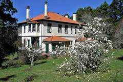 Ferienhaus, Exklusive Unterkunft - Quinta das Colmeias House - Villa in Santo Antonio da Serra, Santa Cruz (8 Personen)