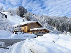 Ferienhaus - Ferienhaus, Chalet Talbach (MHO778)