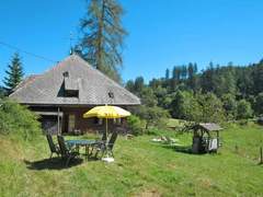 Ferienhaus - Ferienhaus, Landhaus Bistenhof