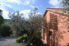 Ferienhaus - Lidia - Ferienunterkunft in Castagneto Carducci (4 Personen)