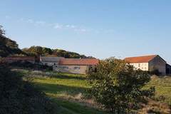Ferienhaus - Gite Bourgogne rust & natuur - Ferienunterkunft in Grury (6 Personen)