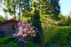 Ferienhaus - Chalet 'Bosanemoon' - Ferienunterkunft in Garderen (4 Personen)