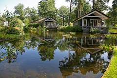 Ferienhaus - Bospark Markelo 6 - Chalet in Markelo (4 Personen)