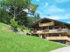 Ferienhaus - Ferienhaus, Chalet Alm Chalet