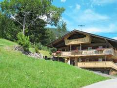 Ferienhaus - Ferienhaus, Chalet Alm Chalet (SUZ320)