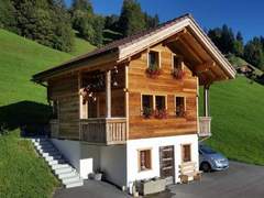 Ferienwohnung - Ferienwohnung Chalet Wäschhüsi