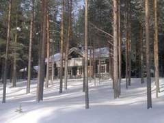 Ferienhaus - Ferienhaus Kangastus a