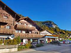 Ferienwohnung - Ferienwohnung Chalet Burgfeld