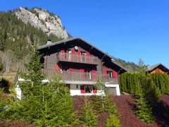 Ferienhaus - Ferienhaus, Chalet Le Jet d'Eau 19