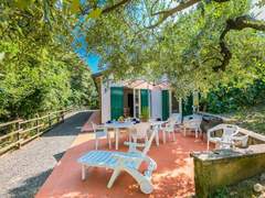 Ferienhaus - Ferienhaus Podere gli Olivi