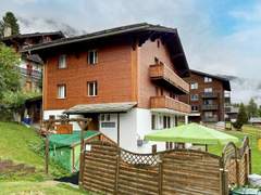 Ferienwohnung - Ferienwohnung Chalet Jungtalblick Drieri