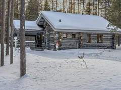 Ferienhaus - Ferienhaus Rukanlumous 1