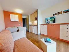 Ferienwohnung - Ferienwohnung Le Belvédère (R9 137)