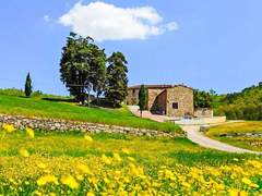 Ferienhaus - Ferienhaus, Landhaus Locazione turistica Selvapiana