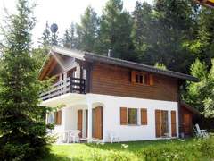 Ferienhaus - Ferienhaus, Chalet Edelweiss