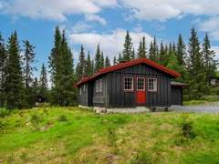 Ferienhaus - Ferienhaus Liaråket (OPP209)