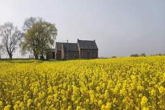 Ferienhaus - De Korte Lindehoeve - Landhaus in Roesbrugge (22 Personen)