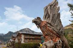 Ferienwohnung - Appartement Zillertal Alpen B - Ferienunterkunft in Wald im Pinzgau (5 Personen)