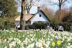 Ferienhaus - Romantisch Bergen - Ferienunterkunft in Bergen (Noord-Holland) (2 Personen)