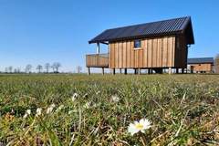 Ferienhaus - Acker Lodges 1 - Ferienunterkunft in Ruinerwold (4 Personen)