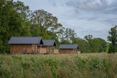 Ferienhaus - Acker Lodges 2 - Ferienunterkunft in Ruinerwold (12 Personen)