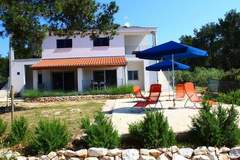 Ferienwohnung - Gorgonia S1 - Ferienunterkunft in Veli Rat-Verunic Dugi Otok (5 Personen)