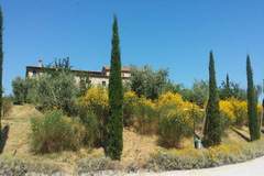 Ferienwohnung - Appartamento Monaci - Ferienunterkunft in Asciano (SI) (5 Personen)