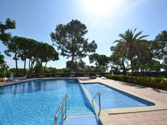 Ferienwohnung - Ferienwohnung Cala Dorada