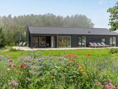 Ferienhaus - Ferienhaus Iivo - 350m from the sea