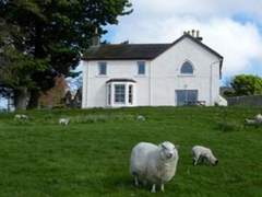 Ferienhaus - Ferienhaus, Landhaus Wester Riechip