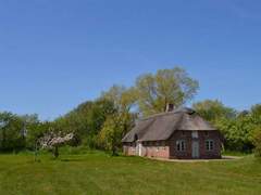 Ferienhaus - Ferienhaus Botmund - 3.6km from the sea