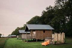Ferienhaus - Acker Lodges 4 - Ferienunterkunft in Ruinerwold (4 Personen)