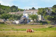 Ferienwohnung - Gîte de luxe dans les vignes 5 - Ferienunterkunft in Villesèque-des-Corbières (6 Personen)