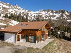 Ferienhaus - Ferienhaus, Chalet Chalet Martens