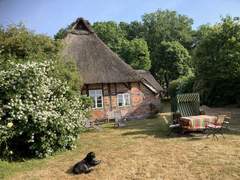 Ferienhaus - Ferienhaus Reethuus