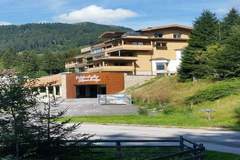 Ferienwohnung - Kitzbüheler Alpenlodge Top A7 - Ferienunterkunft in Mittersill (8 Personen)