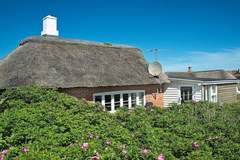Ferienhaus - Ferienunterkunft in Ringkøbing (6 Personen)