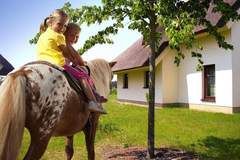 Ferienhaus - Ferienhaus Typ A 120 qm - Ferienunterkunft in Linstow (8 Personen)