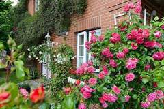 Ferienhaus - Ferienwohnung Oevenum Wohnung 1 - Ferienunterkunft in Oevenum (4 Personen)