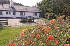 Ferienhaus - Ferienhaus in Løkken (8 Personen)