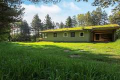 Ferienhaus - Ferienunterkunft in Blokhus (6 Personen)