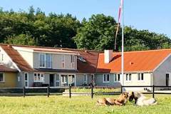 Ferienhaus - Ferienunterkunft in Frederikshavn (4 Personen)