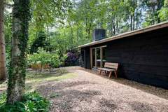 Ferienhaus - Dutch Cabin Houses C66 - Ferienhaus in Rheezerveen (4 Personen)