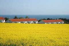 Ferienwohnung - BOESVANG - Ferienunterkunft in Allinge (2 Personen)